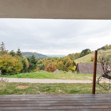 Apartment On The Edge Of The Forest Kleines Wiesental Екстериор снимка