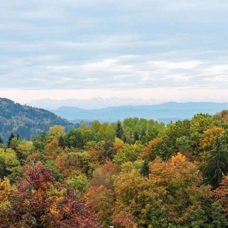 Apartment On The Edge Of The Forest Kleines Wiesental Екстериор снимка