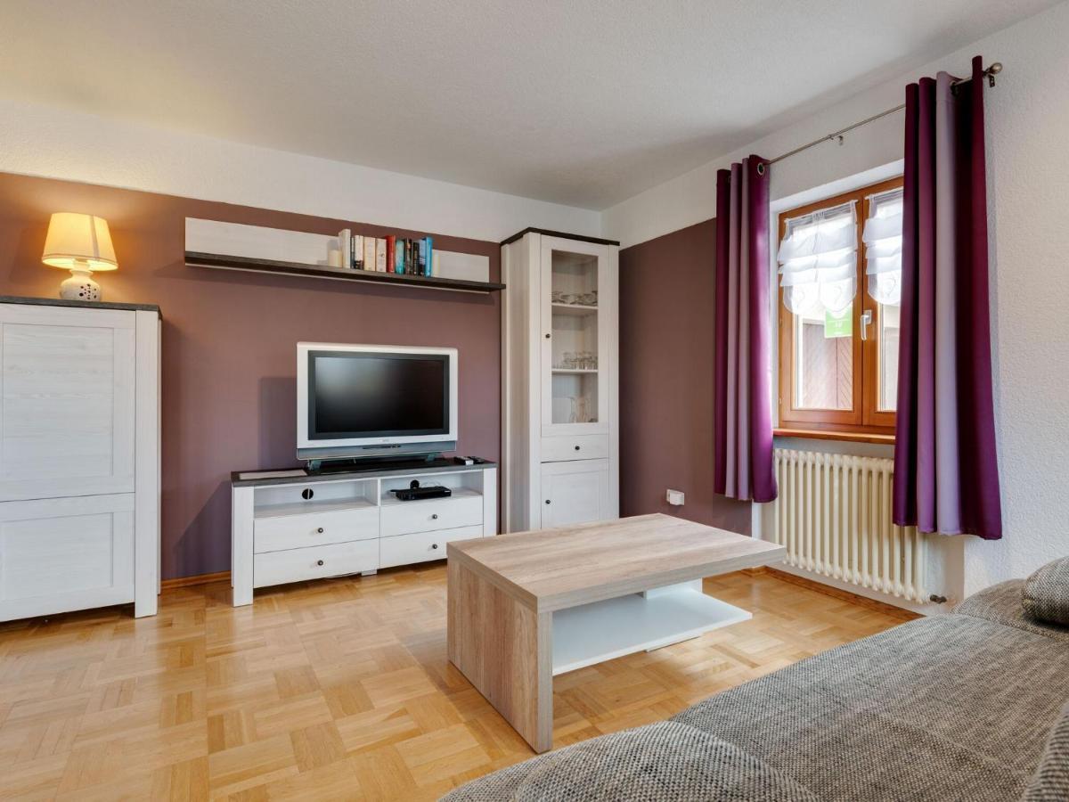 Apartment On The Edge Of The Forest Kleines Wiesental Екстериор снимка
