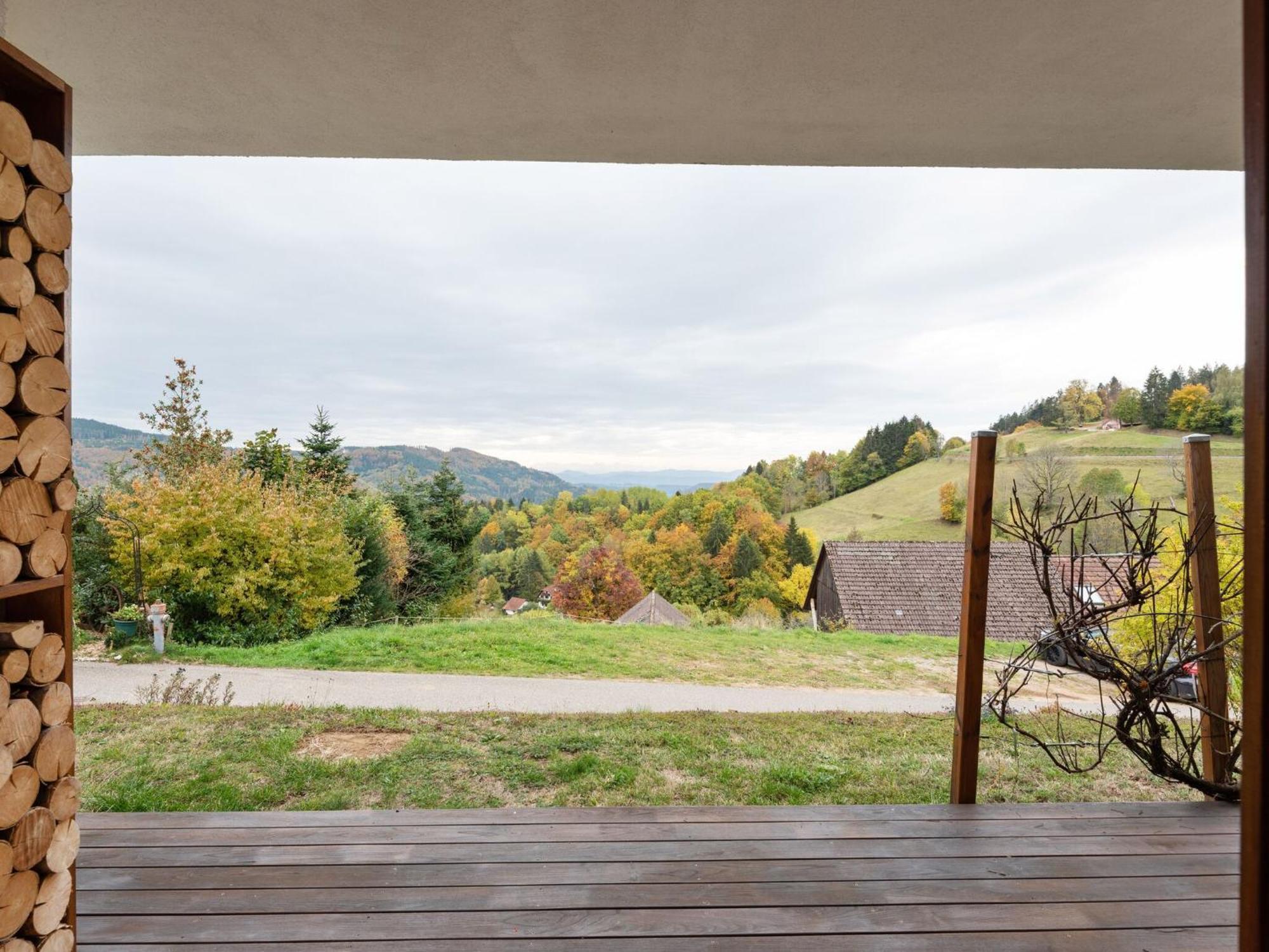 Apartment On The Edge Of The Forest Kleines Wiesental Екстериор снимка